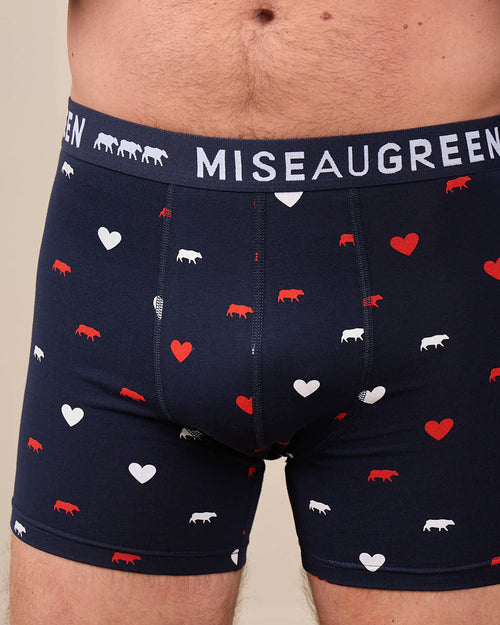 Boxer vaches et cœurs - MISE AU GREEN - 1