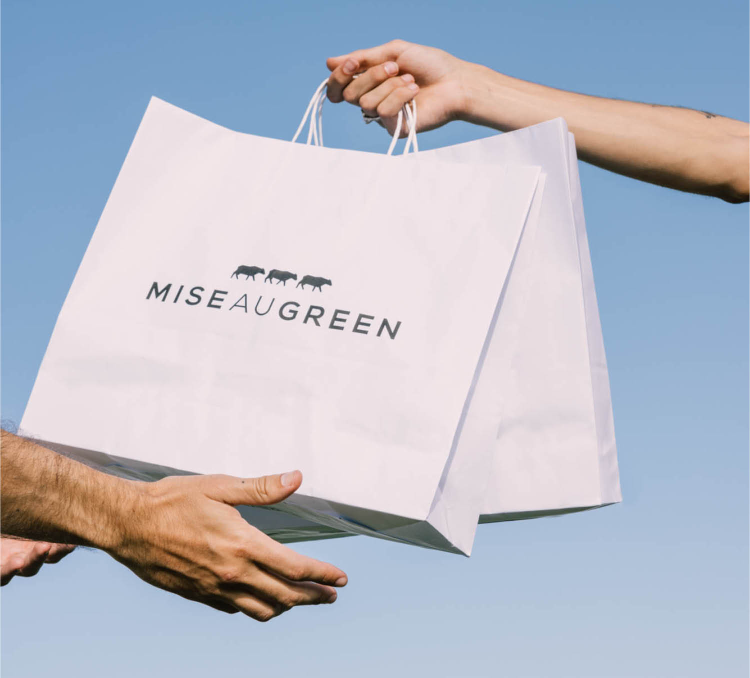sac_miseaugreen