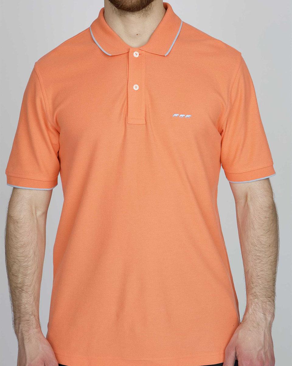 Corail