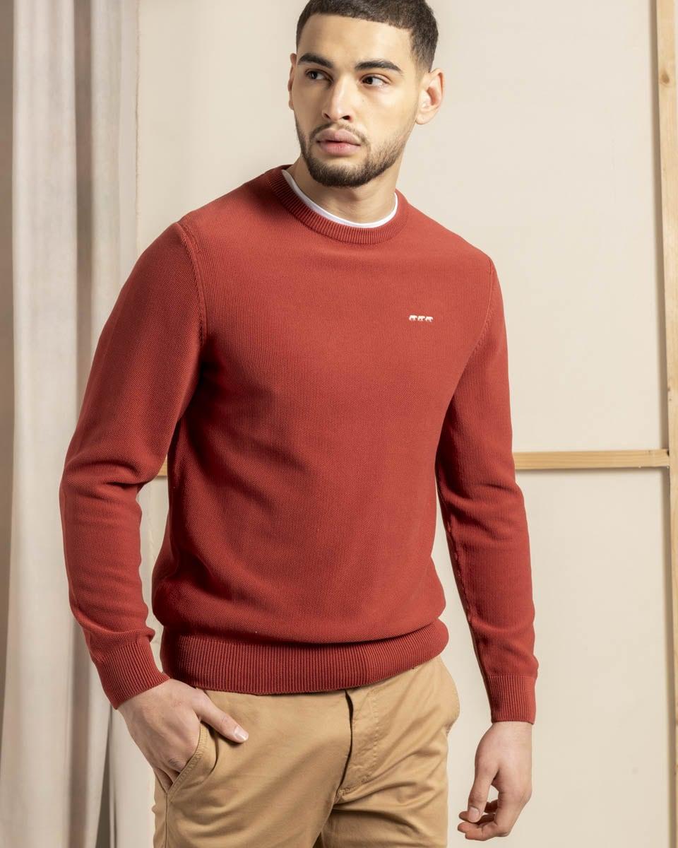 Pull Homme Coton Laine Merinos Cachemire Mise Au Green