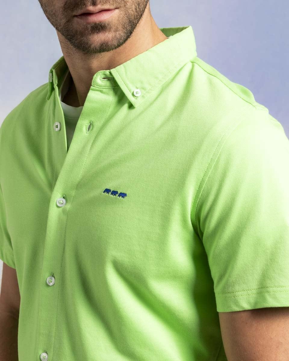 VERT POMME