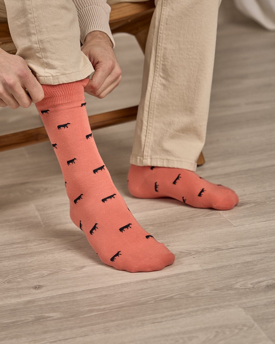 Chaussettes Billie orange