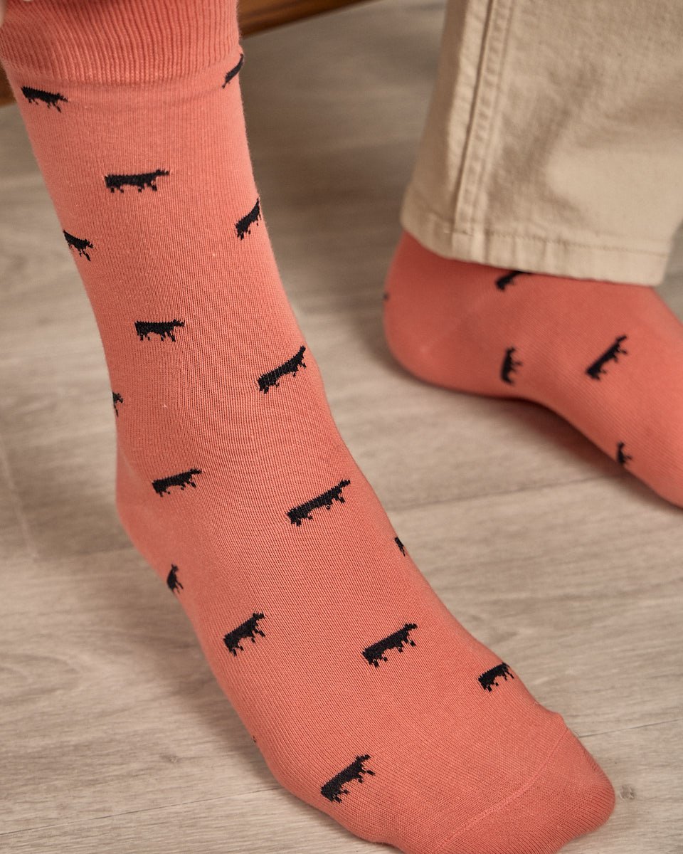 Chaussettes Billie orange