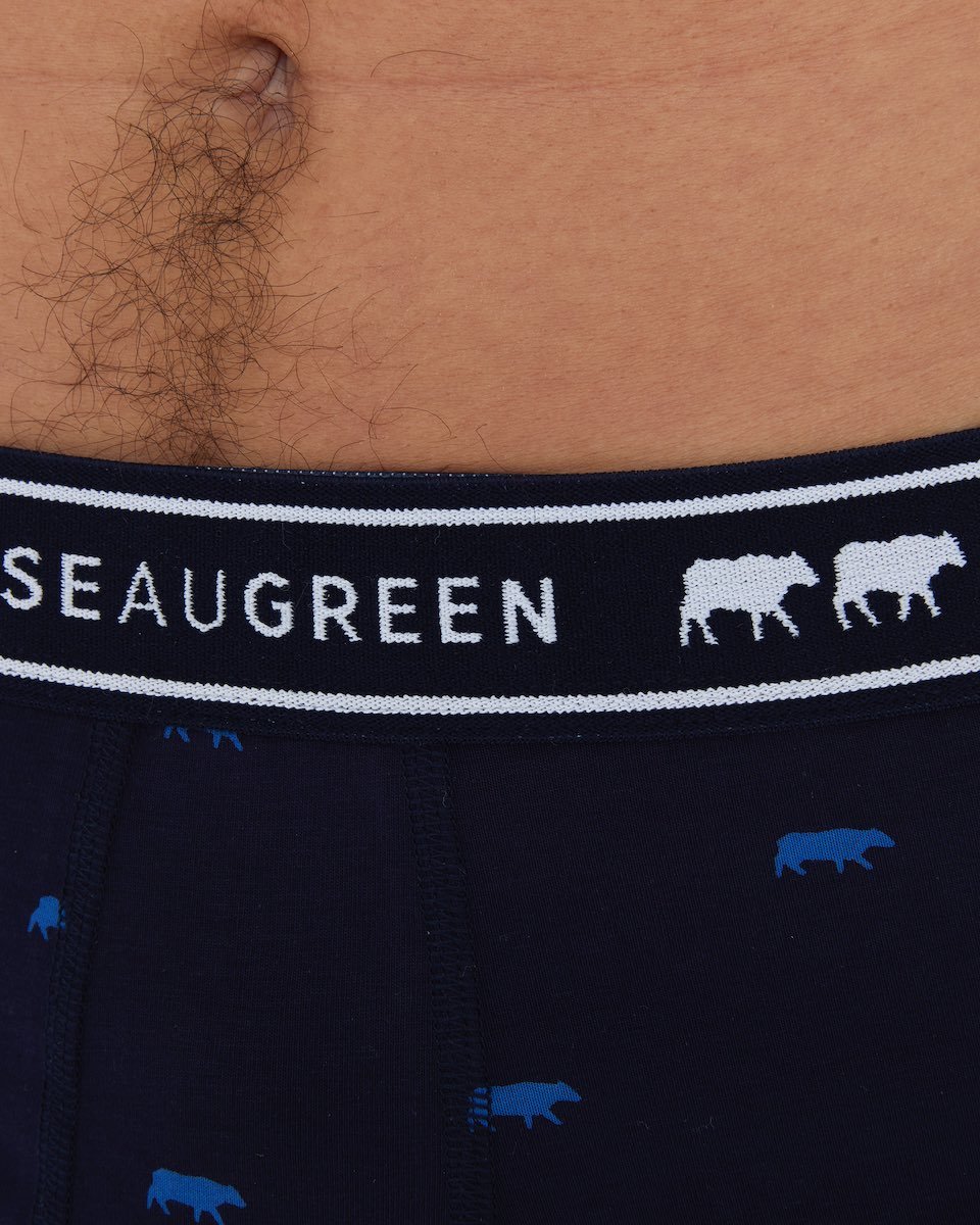 Boxer imprimé mini vaches bleu