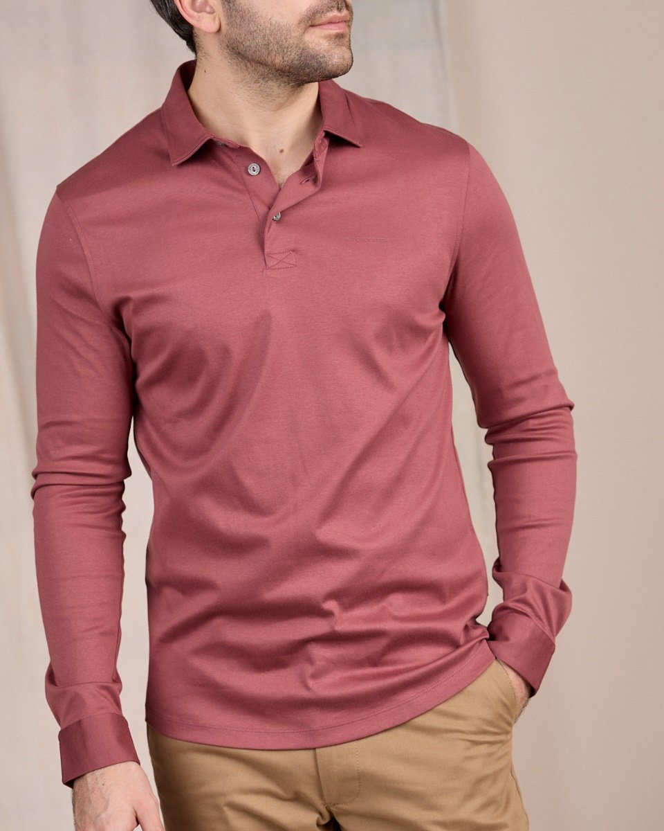 Polo Clark rose