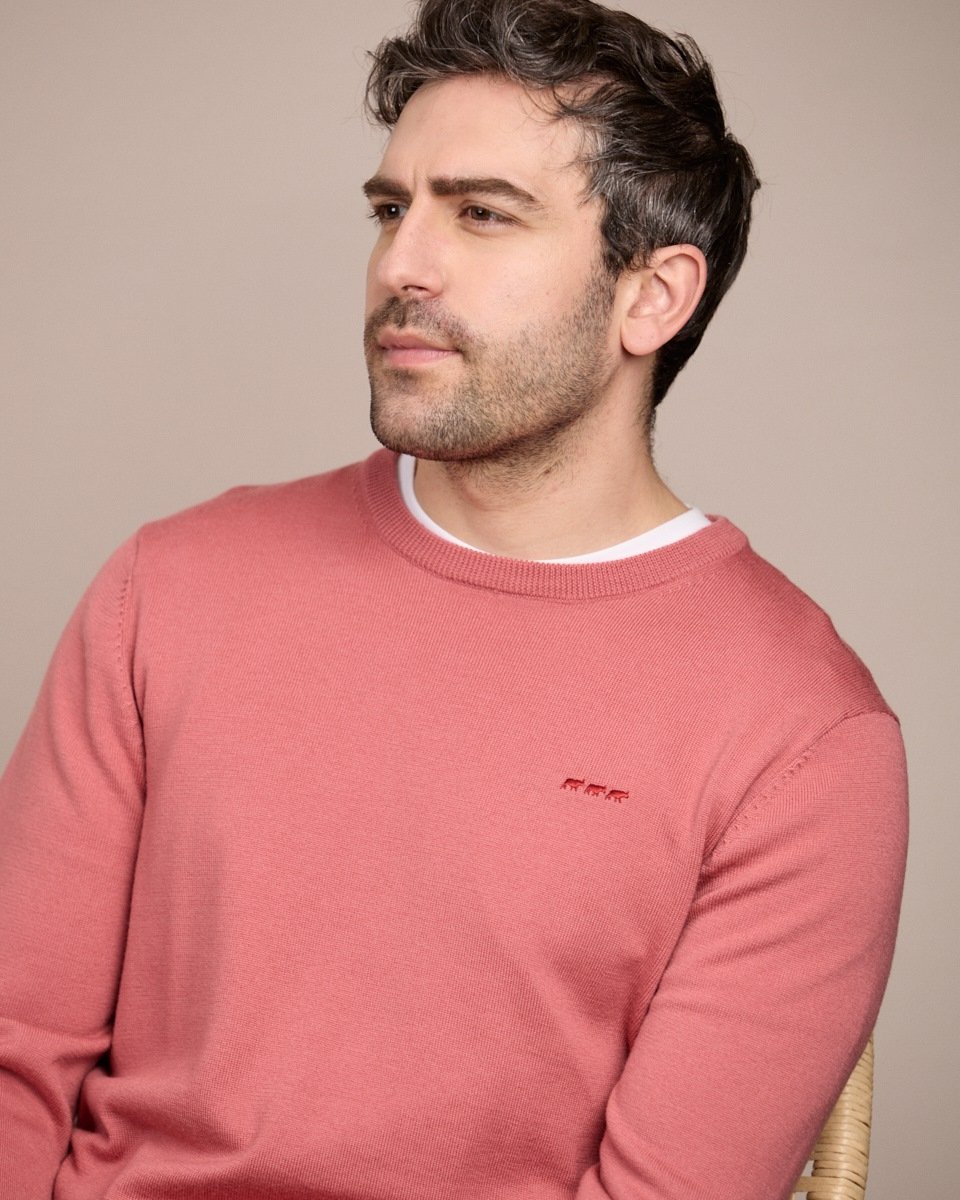 Pull col rond rose
