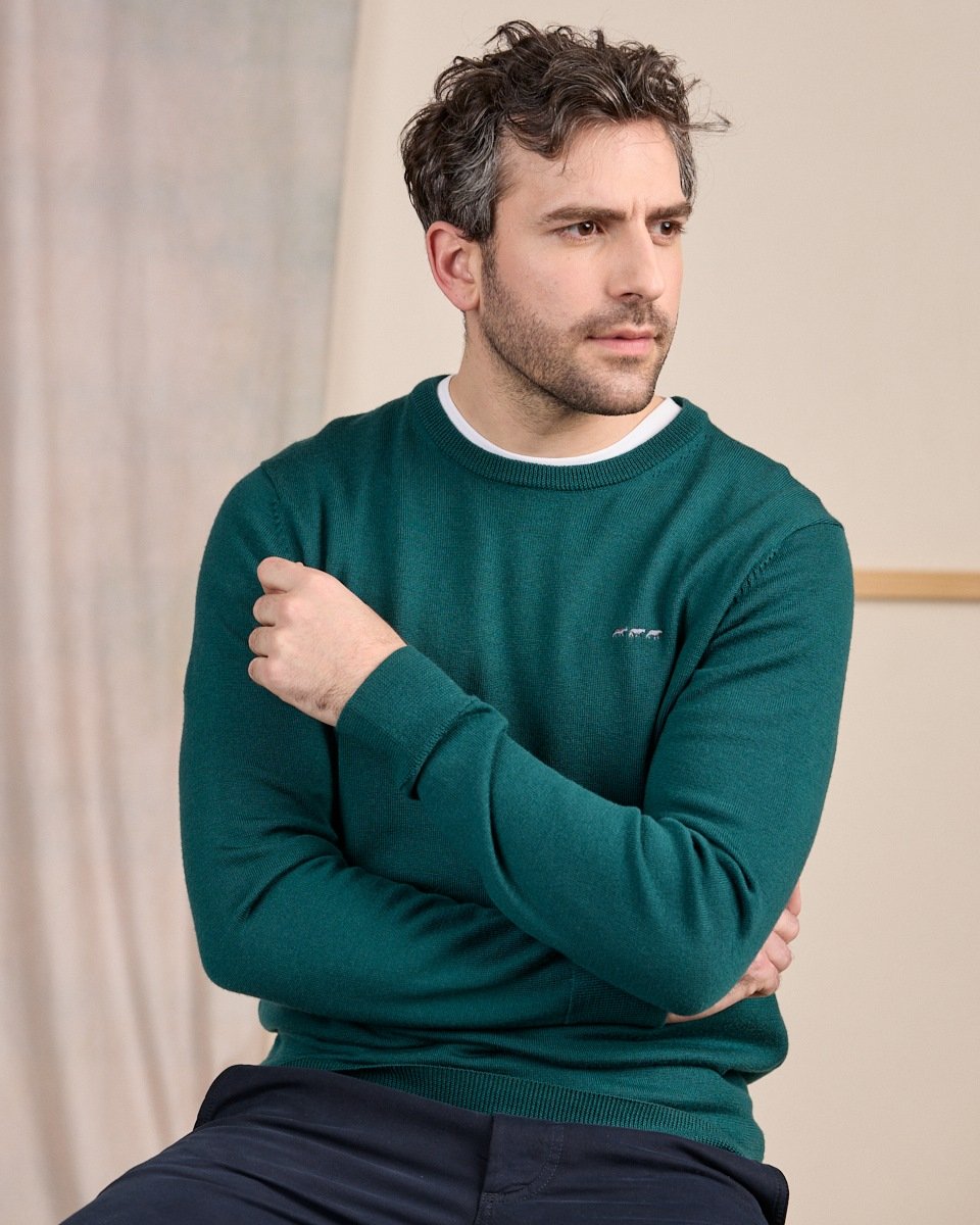 Pull col rond vert