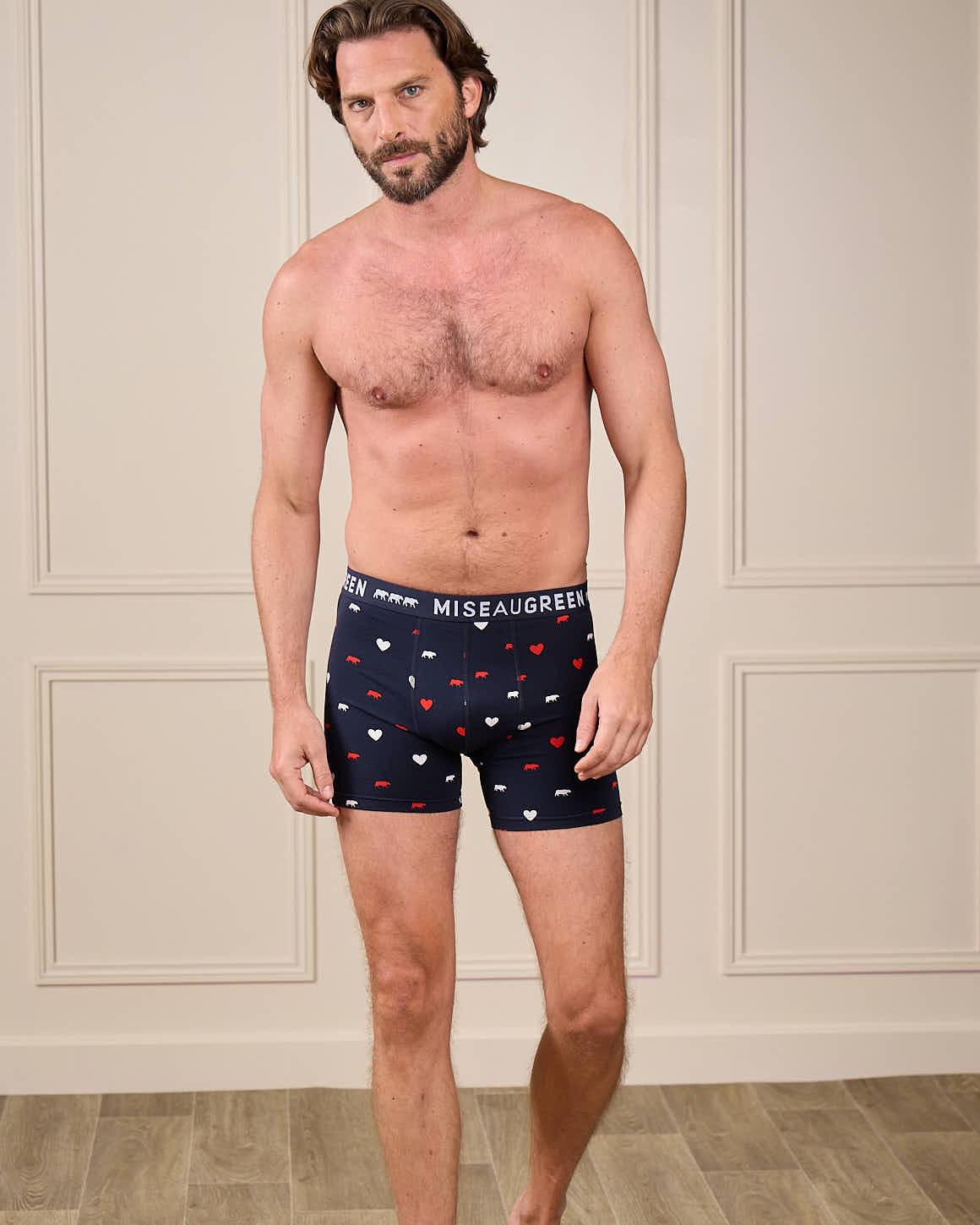 Boxer vaches et cœurs rouge