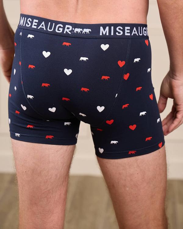 Boxer vaches et cœurs rouge