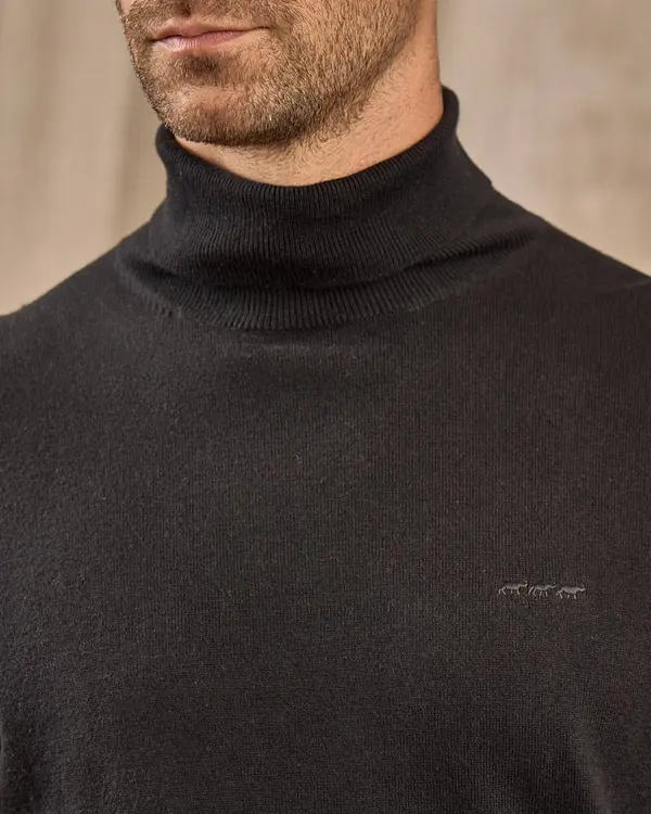 Pull col roulé Pull col roulé