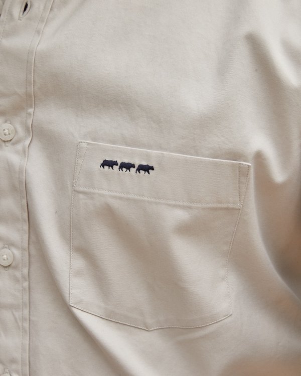 Chemise manches longues gabardine toucher doux 100% coton blanc