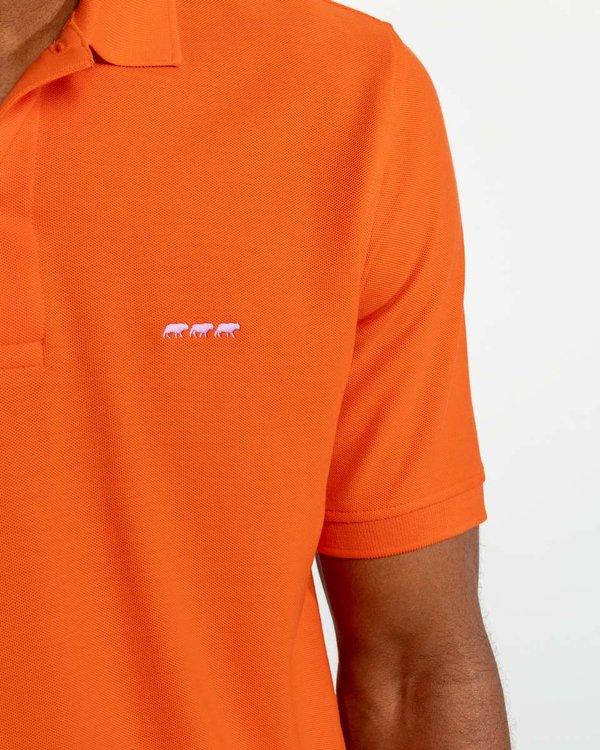 Polo piqué Douglas coupe droite manches courtes uni orange Polo piqué Douglas coupe droite manches courtes uni orange