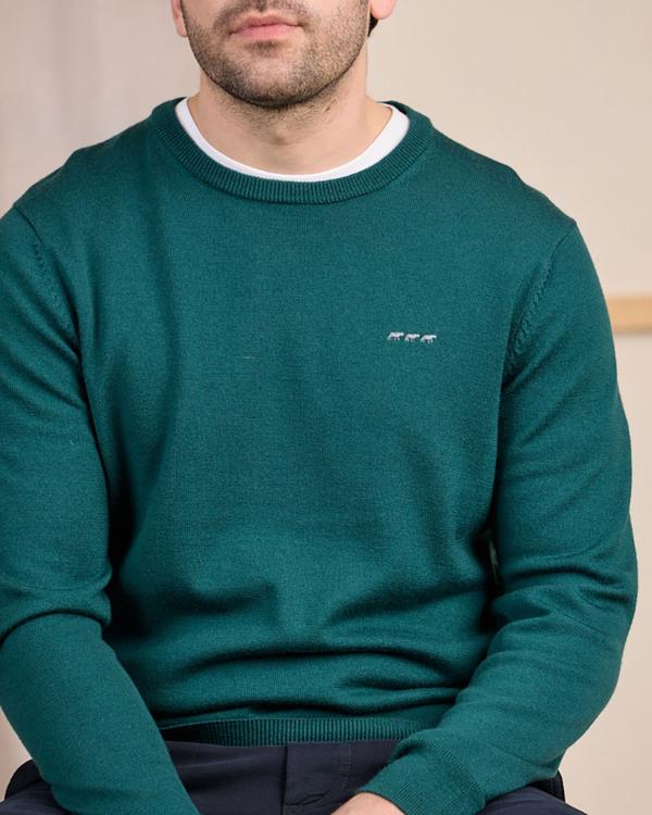 Pull col rond vert
