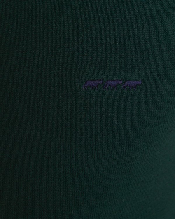 Pull Gabin regular manches longues uni col V coton cachemire vert Pull Gabin regular manches longues uni col V coton cachemire vert