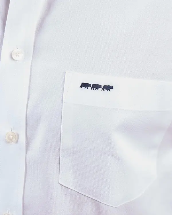 Chemise oxford blanc