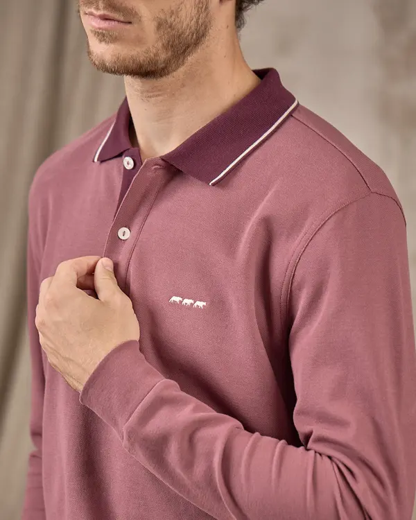 Polo Erwann violet