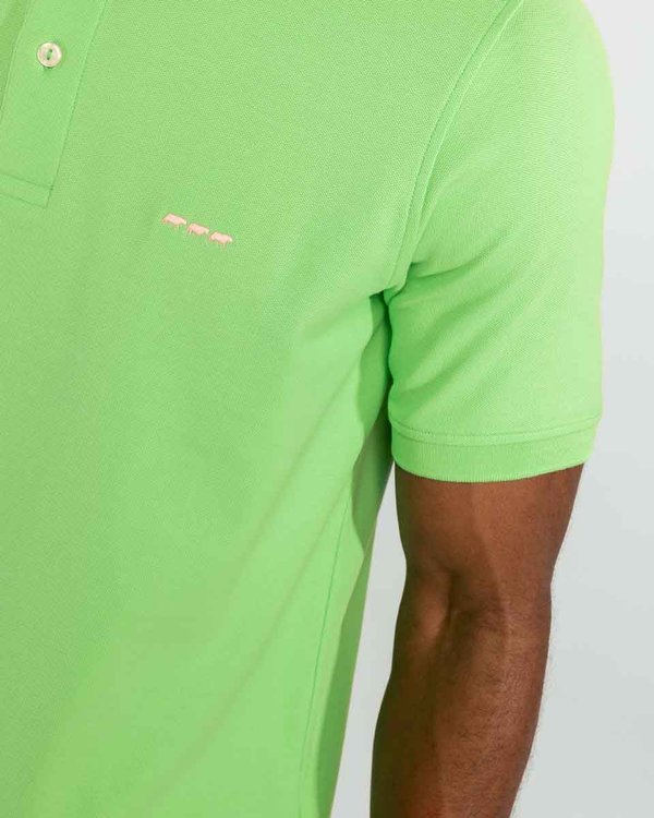 Polo piqué Douglas coupe droite manches courtes uni vert