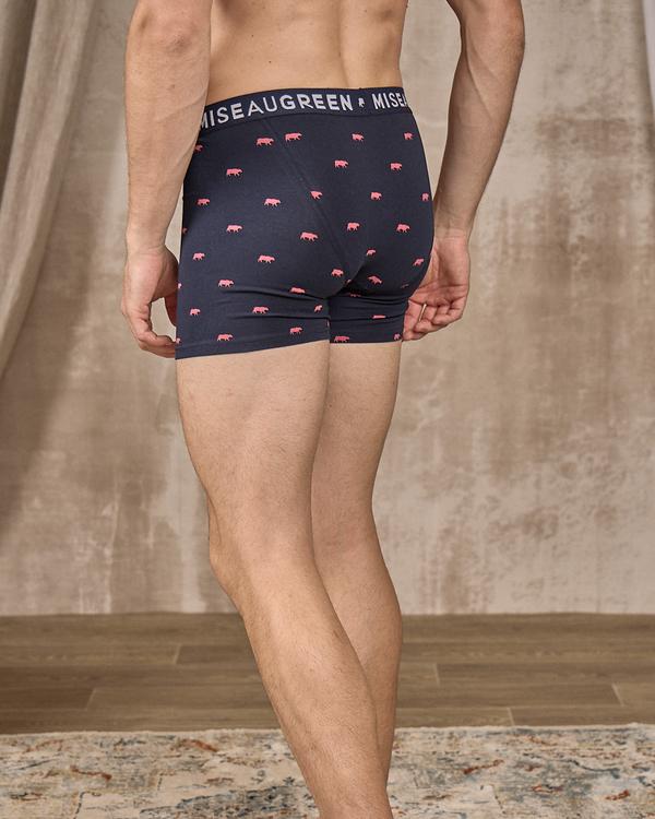 Boxer Adriel rose Boxer Adriel rose