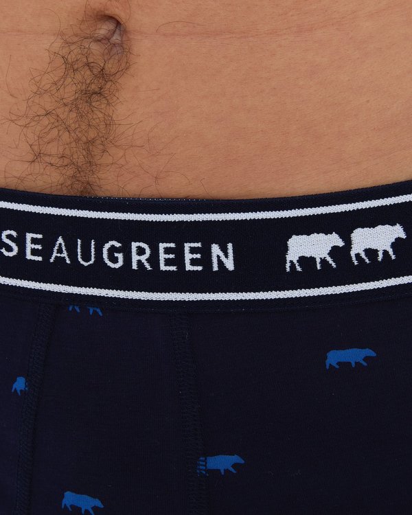 Boxer imprimé mini vaches bleu