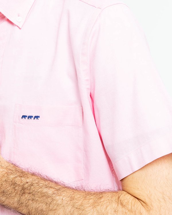 Chemise oxford à manches courtes unie en coton rose