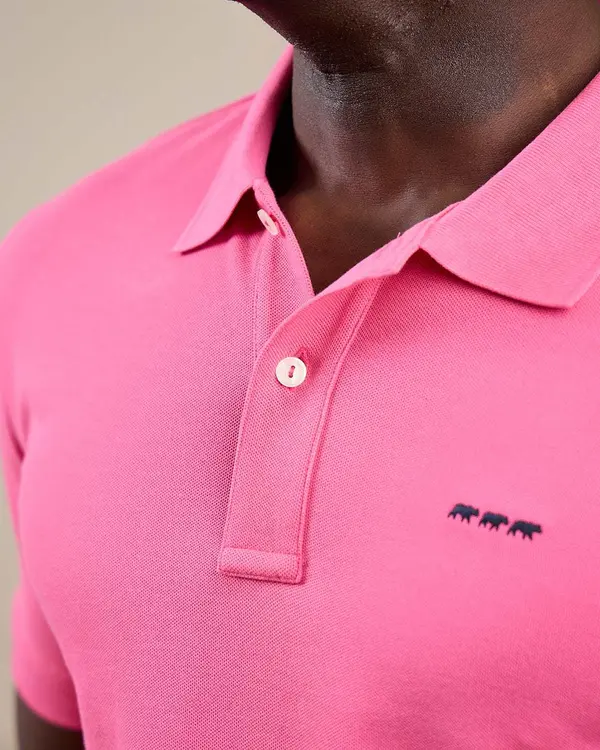 Polo Collin rose