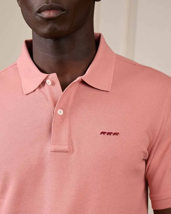 Polo Collin rose