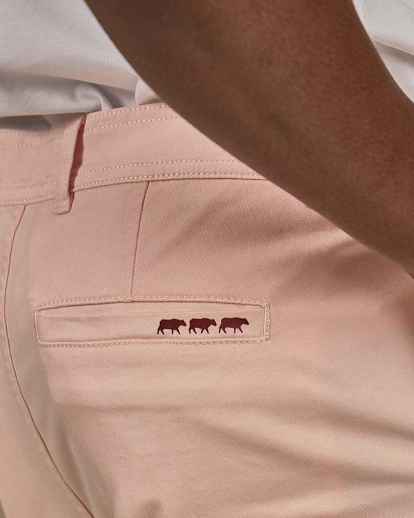 Chino Cyrile rose Chino Cyrile rose