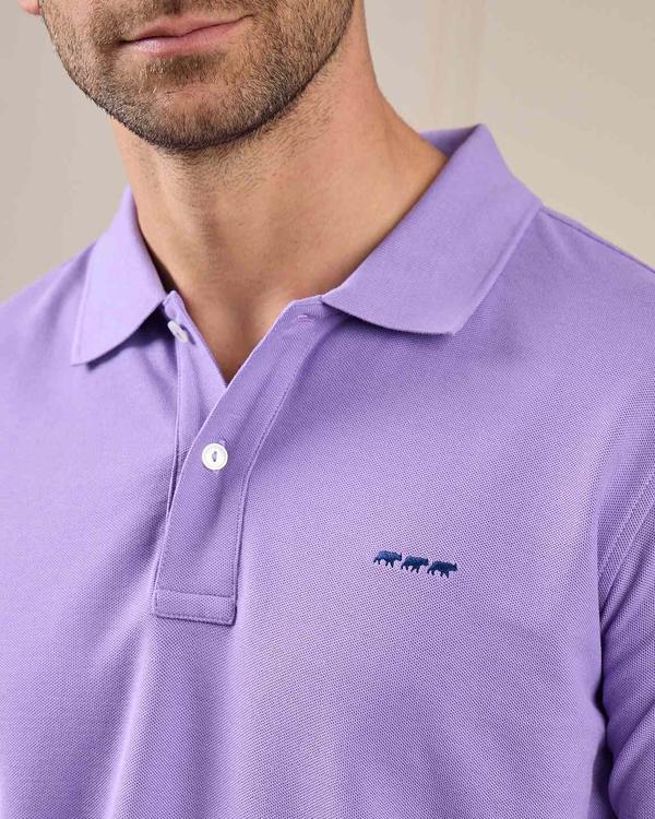 Polo Collin violet