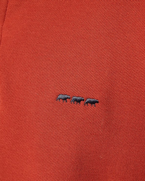 Polo piqué Douglas coupe droite manches courtes uni Polo piqué Douglas coupe droite manches courtes uni