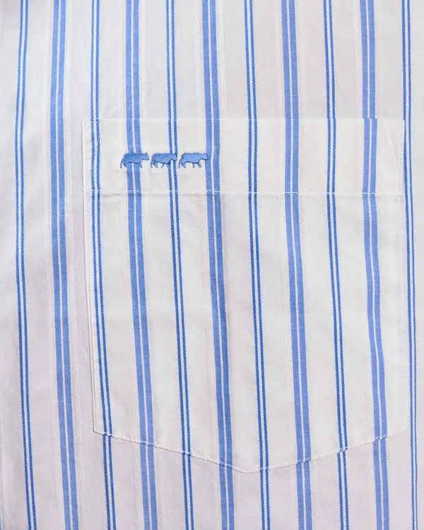 Chemise à rayures blanc