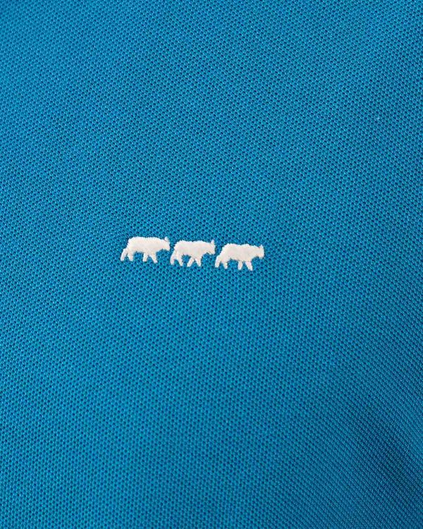 Polo Collin bleu