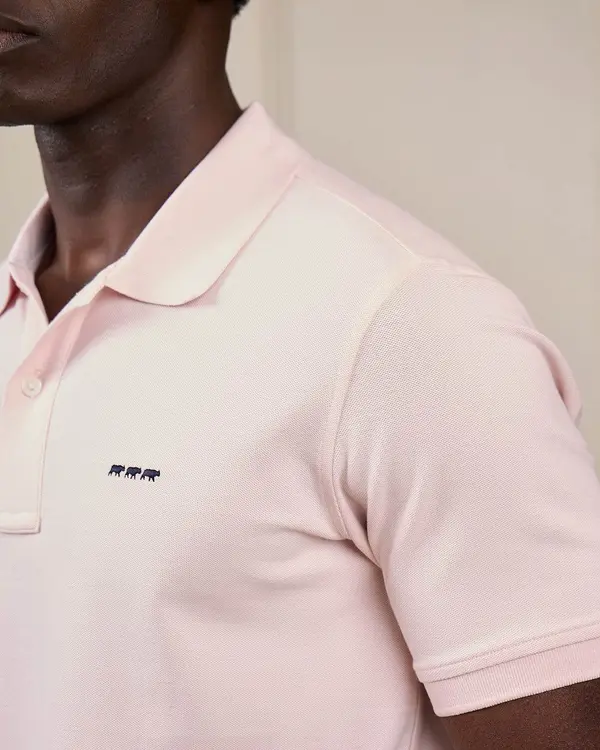 Polo Collin rose