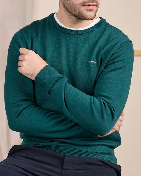 Pull col rond vert