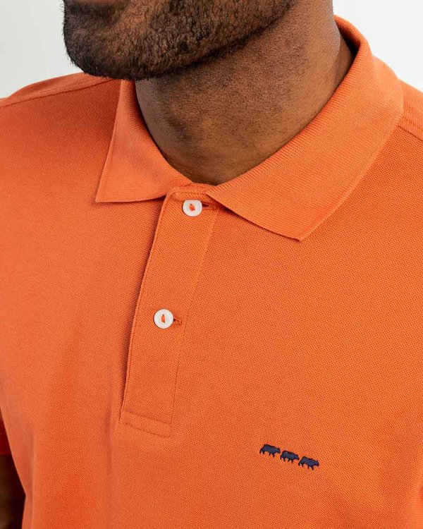 Polo piqué Douglas coupe droite manches courtes uni rose