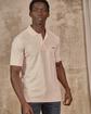 Polo Collin rose