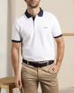 Bermuda chino Bermuda chino