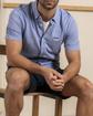Chemise manches courtes unie broderie trois vaches 100% Coton Chemise manches courtes unie broderie trois vaches 100% Coton