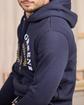 Sweat hoodie blason