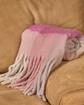 7ECHEMILIA_700A -  rose