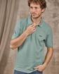 Polo Collin