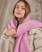 7ECHEMILIO_700A -  rose