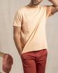 T-shirt Barney T-shirt Barney