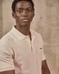 Polo Collin rose