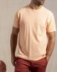 T-shirt Barney T-shirt Barney