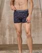 Boxer Adriel rose Boxer Adriel rose